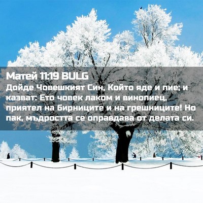 Picture 02 - Матей 11:19 BULG - Дойде Човешкият Син, Който - Bible Verse Picture