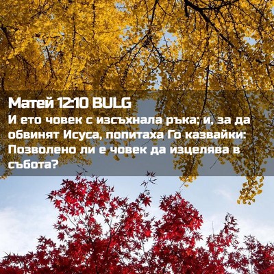 Picture 02 - Матей 12:10 BULG - И ето човек с изсъхнала - Bible Verse Picture