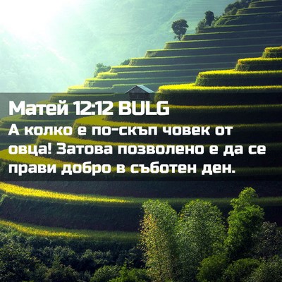 Picture 02 - Матей 12:12 BULG - А колко е по-скъп човек от - Bible Verse Picture