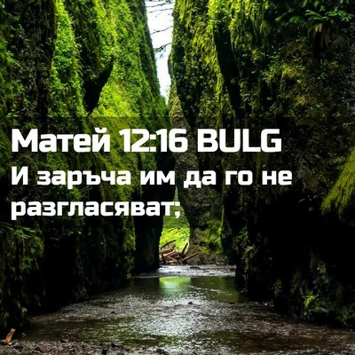 Picture 02 - Матей 12:16 BULG - И заръча им да го не - Bible Verse Picture