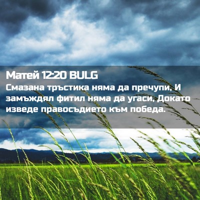 Picture 02 - Матей 12:20 BULG - Смазана тръстика няма да - Bible Verse Picture