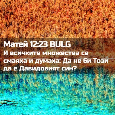 Picture 02 - Матей 12:23 BULG - И всичките множества се - Bible Verse Picture