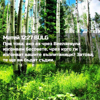 Picture 02 - Матей 12:27 BULG - При това, ако аз чрез - Bible Verse Picture