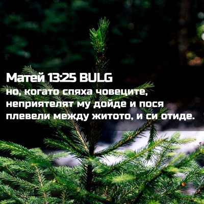 Picture 02 - Матей 13:25 BULG - но, когато спяха човеците, - Bible Verse Picture