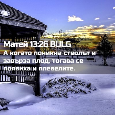 Picture 02 - Матей 13:26 BULG - А когато поникна стволът и - Bible Verse Picture