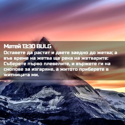 Picture 02 - Матей 13:30 BULG - Оставете да растат и двете - Bible Verse Picture