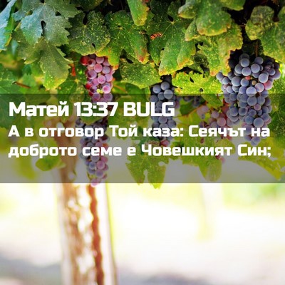 Picture 02 - Матей 13:37 BULG - А в отговор Той каза: - Bible Verse Picture