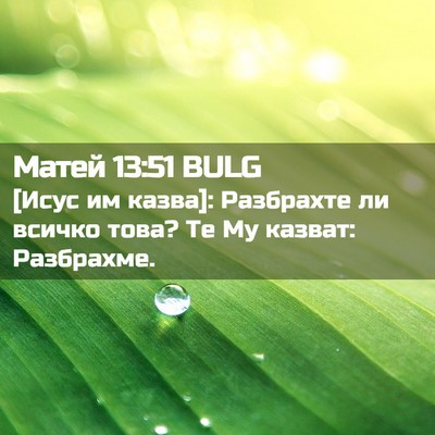 Picture 02 - Матей 13:51 BULG - [Исус им казва]: Разбрахте - Bible Verse Picture