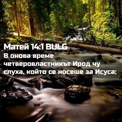 Picture 02 - Матей 14:1 BULG - В онова време - Bible Verse Picture