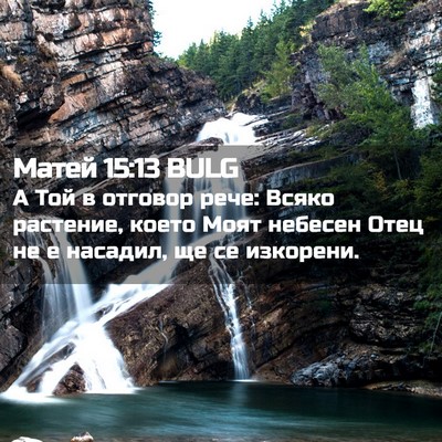 Picture 02 - Матей 15:13 BULG - А Той в отговор рече: Всяко - Bible Verse Picture