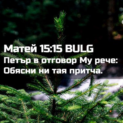 Picture 02 - Матей 15:15 BULG - Петър в отговор Му рече: - Bible Verse Picture