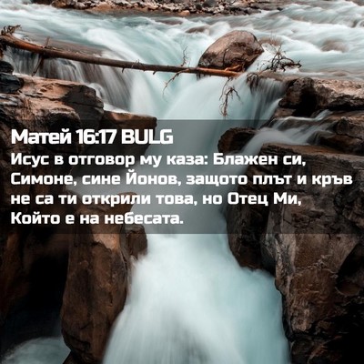 Picture 02 - Матей 16:17 BULG - Исус в отговор му каза: - Bible Verse Picture