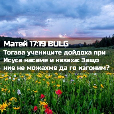 Picture 02 - Матей 17:19 BULG - Тогава учениците дойдоха - Bible Verse Picture