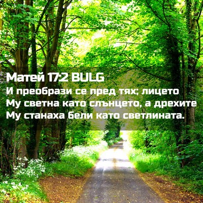 Picture 02 - Матей 17:2 BULG - И преобрази се пред тях; - Bible Verse Picture