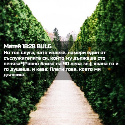 Picture 02 - Матей 18:28 BULG - Но тоя слуга, като излезе, - Bible Verse Picture