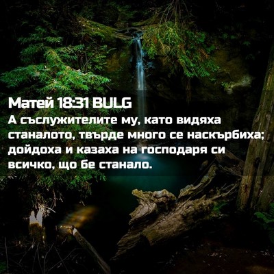 Picture 02 - Матей 18:31 BULG - А съслужителите му, като - Bible Verse Picture