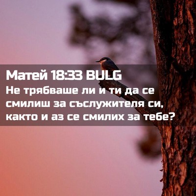 Picture 02 - Матей 18:33 BULG - Не трябваше ли и ти да се - Bible Verse Picture