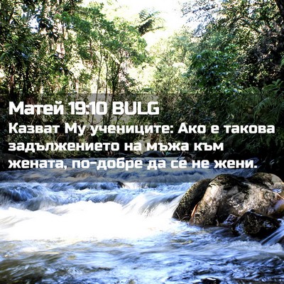 Picture 02 - Матей 19:10 BULG - Казват Му учениците: Ако е - Bible Verse Picture