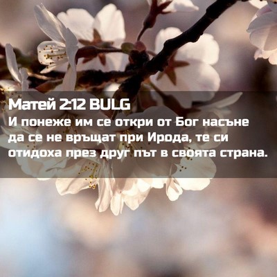 Picture 02 - Матей 2:12 BULG - И понеже им се откри от Бог - Bible Verse Picture