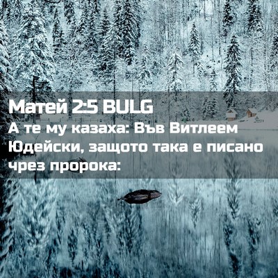 Picture 02 - Матей 2:5 BULG - А те му казаха: Във Витлеем - Bible Verse Picture