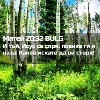 Picture 02 - Матей 20:32 BULG - И тъй, Исус се спря, повика - Bible Verse Picture