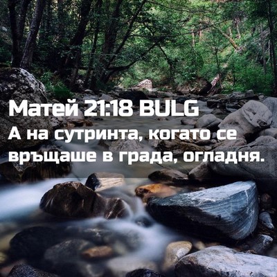 Picture 02 - Матей 21:18 BULG - А на сутринта, когато се - Bible Verse Picture