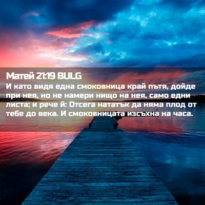 Picture 02 - Матей 21:19 BULG - И като видя една - Bible Verse Picture