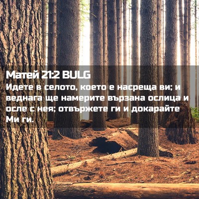 Picture 02 - Матей 21:2 BULG - Идете в селото, което е - Bible Verse Picture