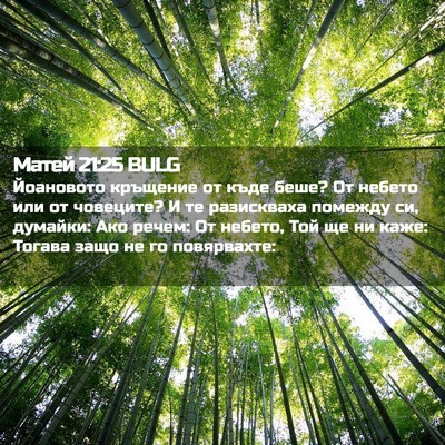 Picture 02 - Матей 21:25 BULG - Йоановото кръщение от къде - Bible Verse Picture