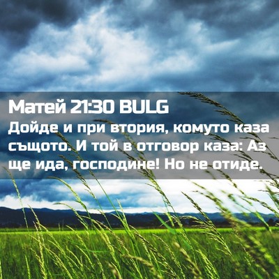 Picture 02 - Матей 21:30 BULG - Дойде и при втория, комуто - Bible Verse Picture