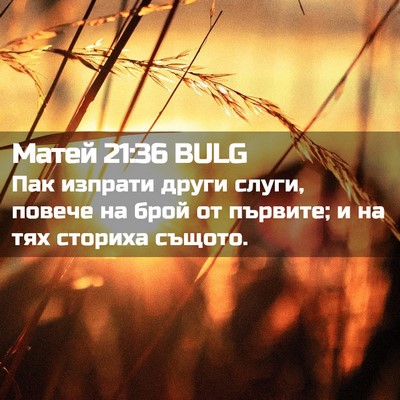 Picture 02 - Матей 21:36 BULG - Пак изпрати други слуги, - Bible Verse Picture