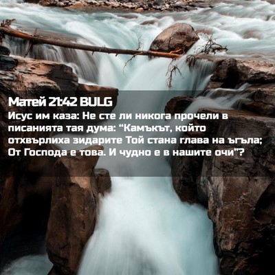 Picture 02 - Матей 21:42 BULG - Исус им каза: Не сте ли - Bible Verse Picture