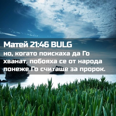 Picture 02 - Матей 21:46 BULG - но, когато поискаха да Го - Bible Verse Picture