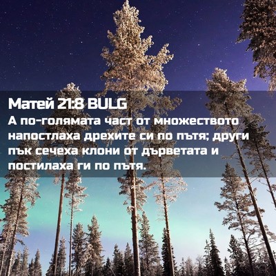 Picture 02 - Матей 21:8 BULG - А по-голямата част от - Bible Verse Picture