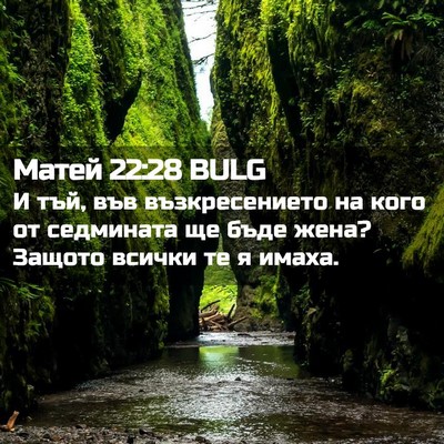 Picture 02 - Матей 22:28 BULG - И тъй, във възкресението на - Bible Verse Picture