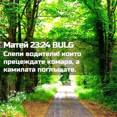 Picture 02 - Матей 23:24 BULG - Слепи водители! които - Bible Verse Picture