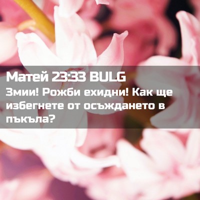 Picture 02 - Матей 23:33 BULG - Змии! Рожби ехидни! Как ще - Bible Verse Picture