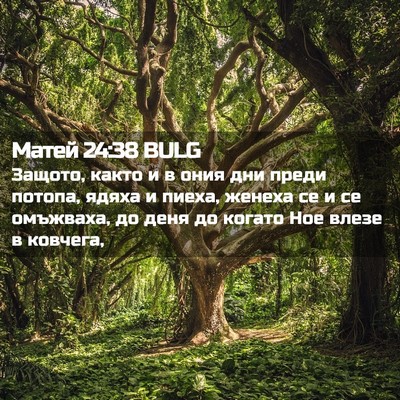 Picture 02 - Матей 24:38 BULG - Защото, както и в ония дни - Bible Verse Picture