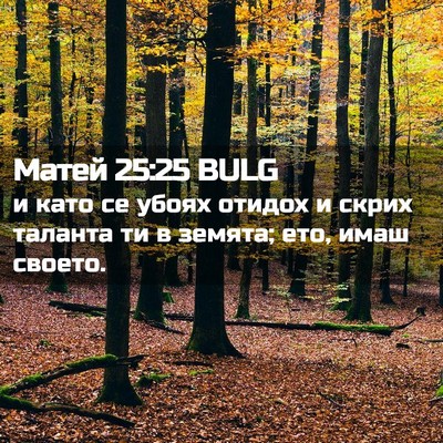 Picture 02 - Матей 25:25 BULG - и като се убоях отидох и - Bible Verse Picture
