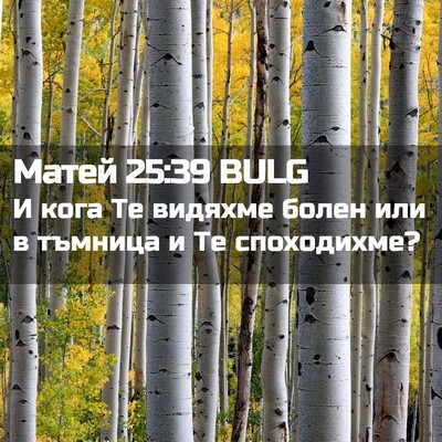 Picture 02 - Матей 25:39 BULG - И кога Те видяхме болен или - Bible Verse Picture