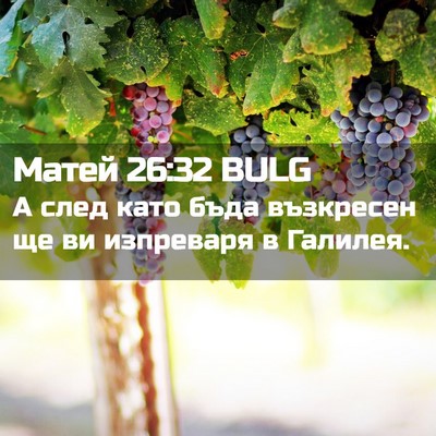 Picture 02 - Матей 26:32 BULG - А след като бъда възкресен - Bible Verse Picture