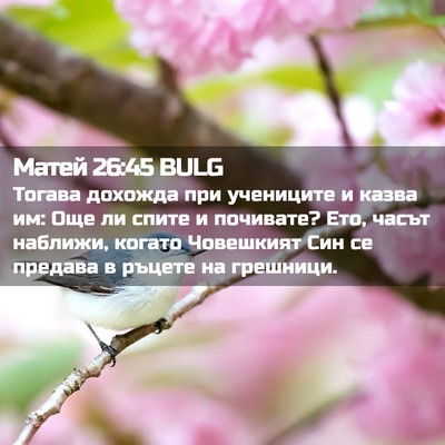 Picture 02 - Матей 26:45 BULG - Тогава дохожда при - Bible Verse Picture