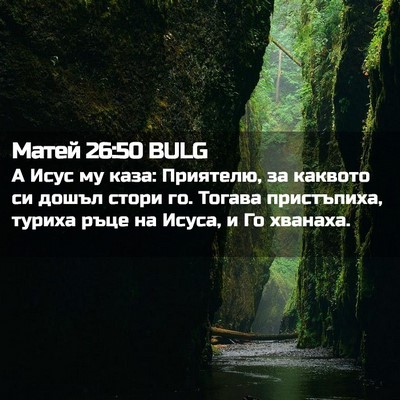 Picture 02 - Матей 26:50 BULG - А Исус му каза: Приятелю, за - Bible Verse Picture