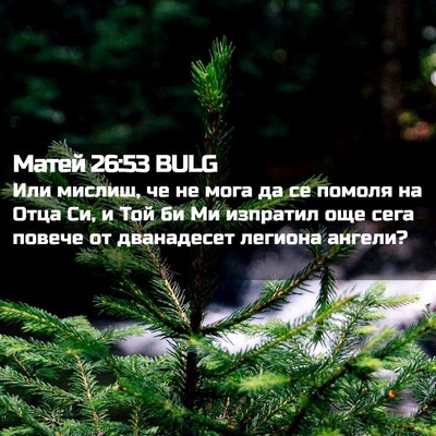 Picture 02 - Матей 26:53 BULG - Или мислиш, че не мога да се - Bible Verse Picture