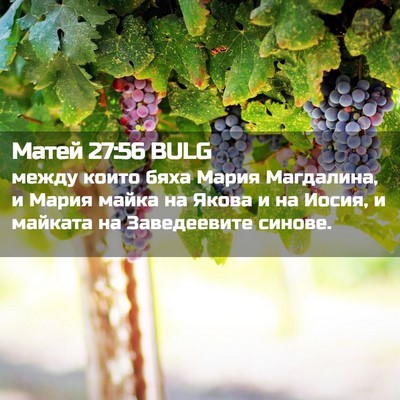 Picture 02 - Матей 27:56 BULG - между които бяха Мария - Bible Verse Picture