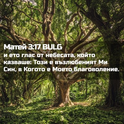 Picture 02 - Матей 3:17 BULG - и ето глас от небесата, - Bible Verse Picture