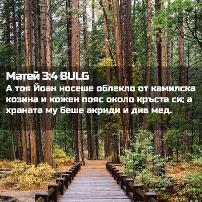 Picture 02 - Матей 3:4 BULG - А тоя Йоан носеше облекло - Bible Verse Picture