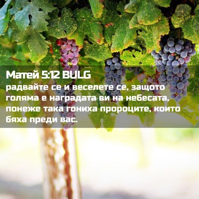 Picture 02 - Матей 5:12 BULG - радвайте се и веселете се, - Bible Verse Picture
