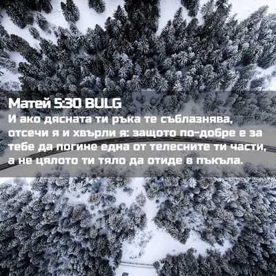 Picture 02 - Матей 5:30 BULG - И ако дясната ти ръка те - Bible Verse Picture
