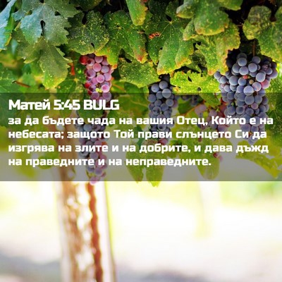 Picture 02 - Матей 5:45 BULG - за да бъдете чада на вашия - Bible Verse Picture